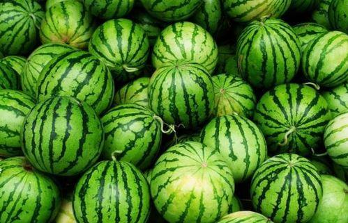 网上吃瓜在哪吃,探寻网络潮流背后的美食故事