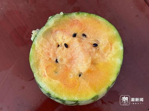 浙江丽水吃瓜事件视频,一场网络热议背后的真相揭秘