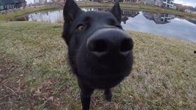 吃瓜进局子,揭秘“吃瓜进局子”背后的真相