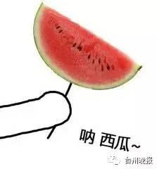 西瓜吃瓜大队