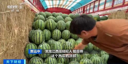 巴铁吃瓜现场,一场全民娱乐盛宴