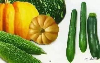 降温降暑吃瓜,降温降暑，尽享清凉瓜果盛宴