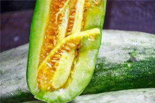 吃瓜带来的感想,从娱乐现象看社会心态