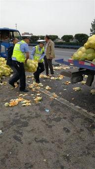 火爆吃瓜动漫车,吃瓜群众狂欢!火爆动漫车带你领略二次元魅力