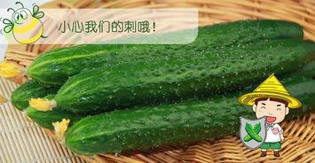 各种吃瓜的最佳时间,揭秘不同瓜果的最佳食用时光