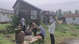 吃瓜狗蛋是谁,网络红人的崛起与影响力