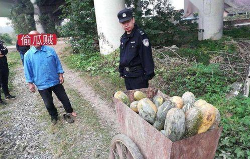 缅北女孩吃瓜事件,揭秘网络谣言背后的真相